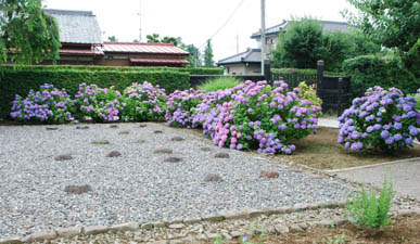 満徳寺・４