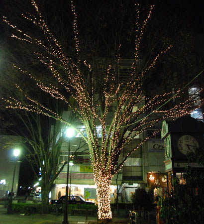 深谷駅イルミネーション2010・７