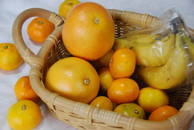 フルーツプラント・くだもの