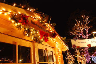 東京ミッドタウン　イルミネーション４