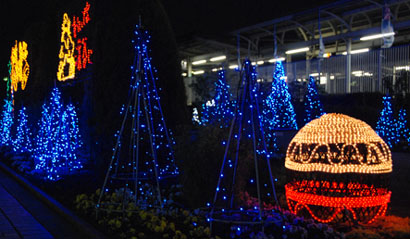 深谷駅イルミネーション2010・８