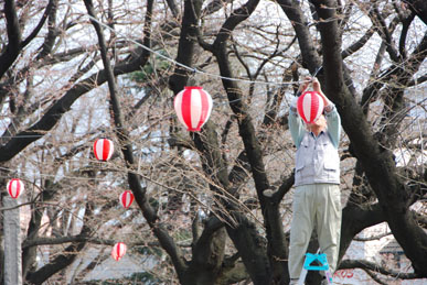 万平公園090327・５