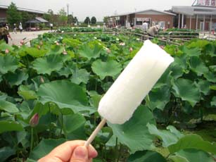 十万石のアイスキャンデー