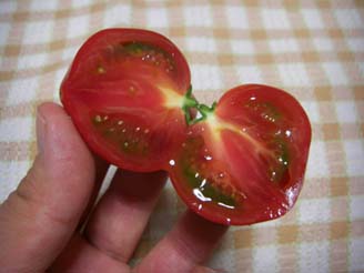 農林公園で買ったフルーツトマト・２.JPG