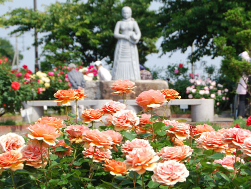 道の駅めぬまバラ2011.5.20・１