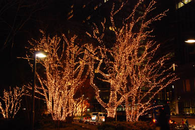 東京ミッドタウン　イルミネーション６