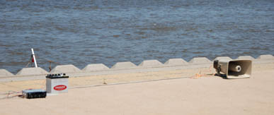 葛和田・大杉神社あばれ神輿　１６