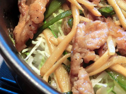 カフェバードランド・９