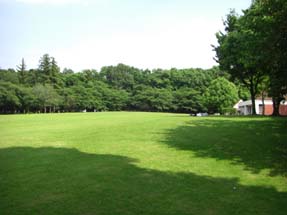 農林公園の日陰・４.JPG
