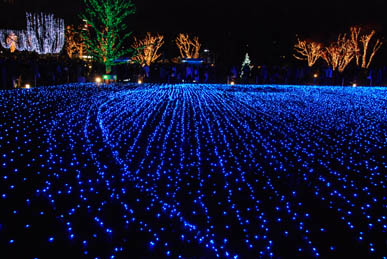 東京ミッドタウン　イルミネーション９