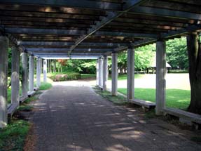農林公園の日陰・５.JPG