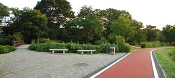 別府沼公園　白彼岸花の場所・１