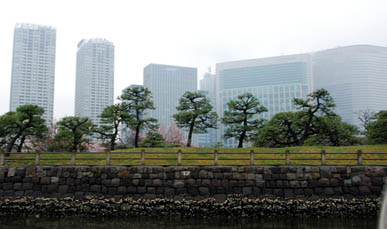 クルージング・５