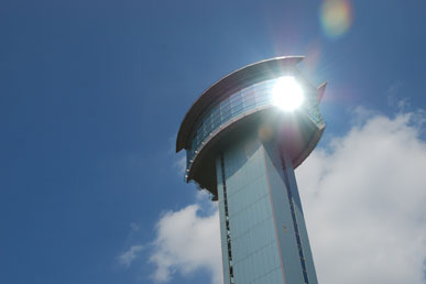 古代蓮公園・１