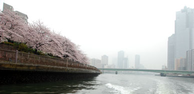 クルージング・７