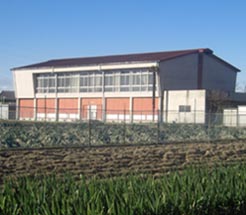 斉藤商店の近所