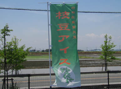 古代蓮公園・３