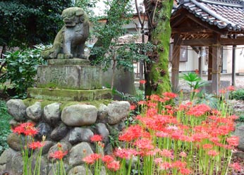 東別府神社ヒガンバナ080923・４
