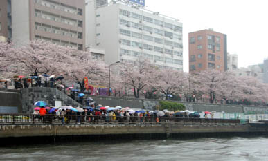 クルージング・１１