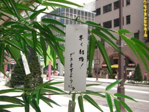 銀座の七夕飾り・３