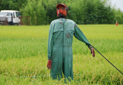 大里のカカシ・６