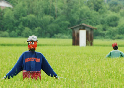 大里のカカシ・７