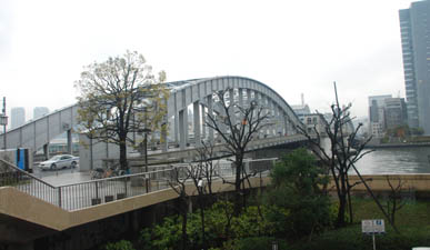 クルージング・１５