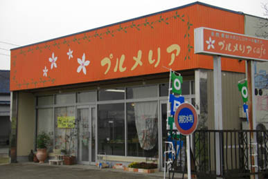 プルメリア・２