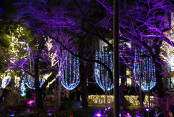 ミッドタウン イルミネーション・４