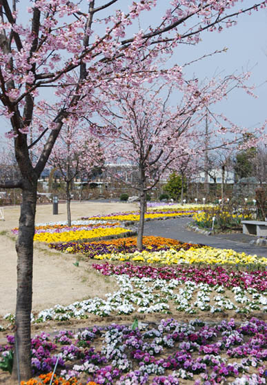 道の駅めぬま2010.03.18・１