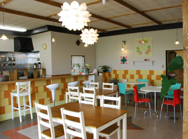 プルメリア・４