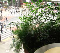 ロクシタンカフェ・４