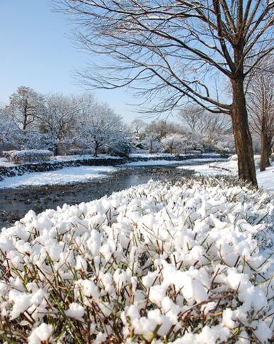 雪の別府沼公園・１