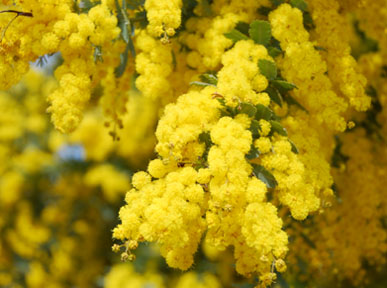 道の駅めぬま2010.03.18・２