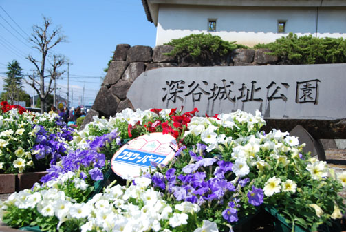 花フェスタ・１