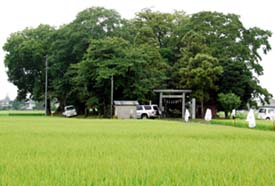 大里の諏訪神社・１