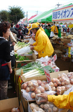 おかべコスモス2008・２