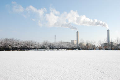 雪の別府沼公園・２