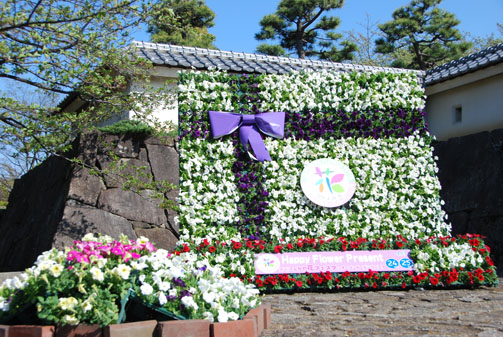 花フェスタ・２