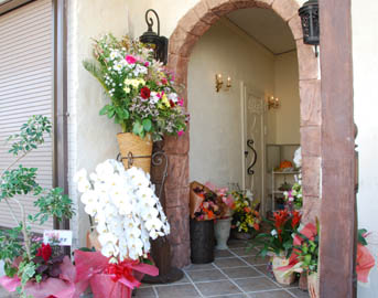 ティーカシェット・５