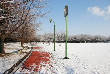 雪の別府沼公園・３