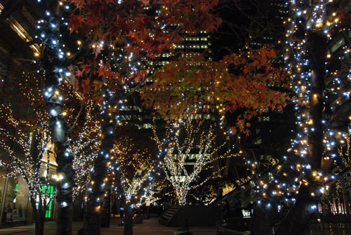 ミッドタウン イルミネーション・１０