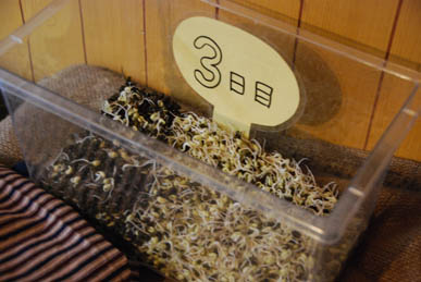 もやし原画展・２