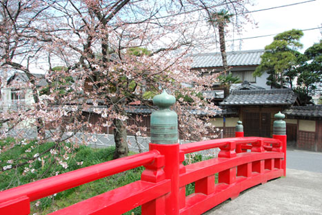 深谷駅前の桜2010.04.02・４