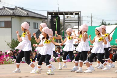 おかべコスモス2008・５