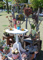 花フェスタ・４