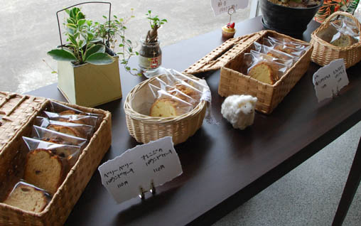 プルメリア・９