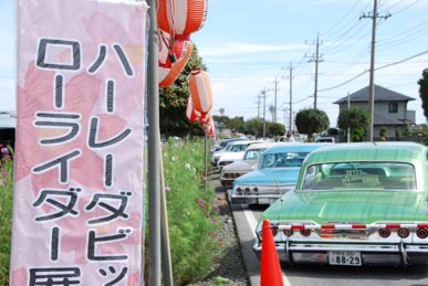 おかべコスモス2008・６