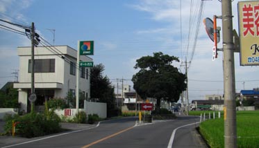 深谷の庚申塚・２