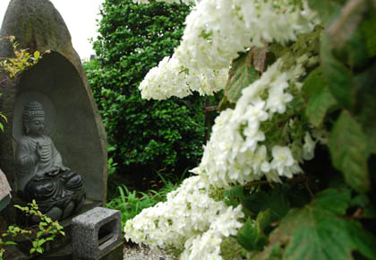 保安寺あじさい2011・８